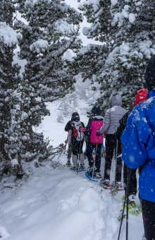 Raquetas de nieve en Candanchú