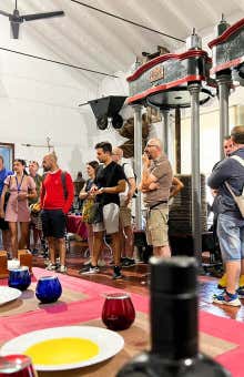 Catas y degustaciones en Jaén