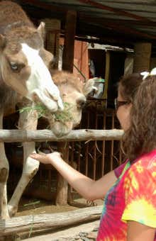 Experiencias con animales en Gran Canaria