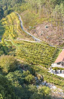 Catas y degustaciones en Rias Baixas
