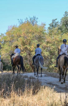 Clases de equitación en Córdoba