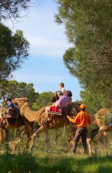Experiencias con animales en Matalascañas
