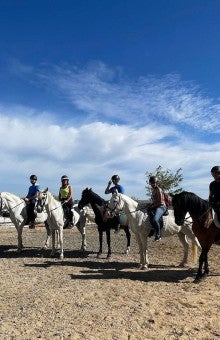 Horse Riding in Toledo