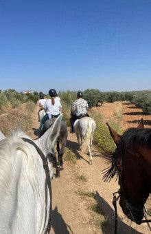 Horse Riding in Toledo