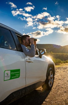 Experiencias con animales en Badajoz