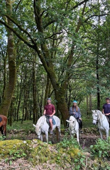 Paseos a caballo en Santiago de Compostela