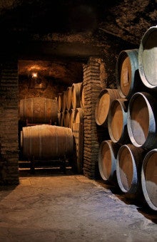 Food and wine tasting in Somontano