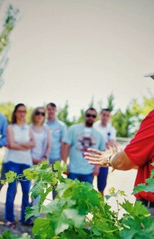 Food and wine tasting in Toledo