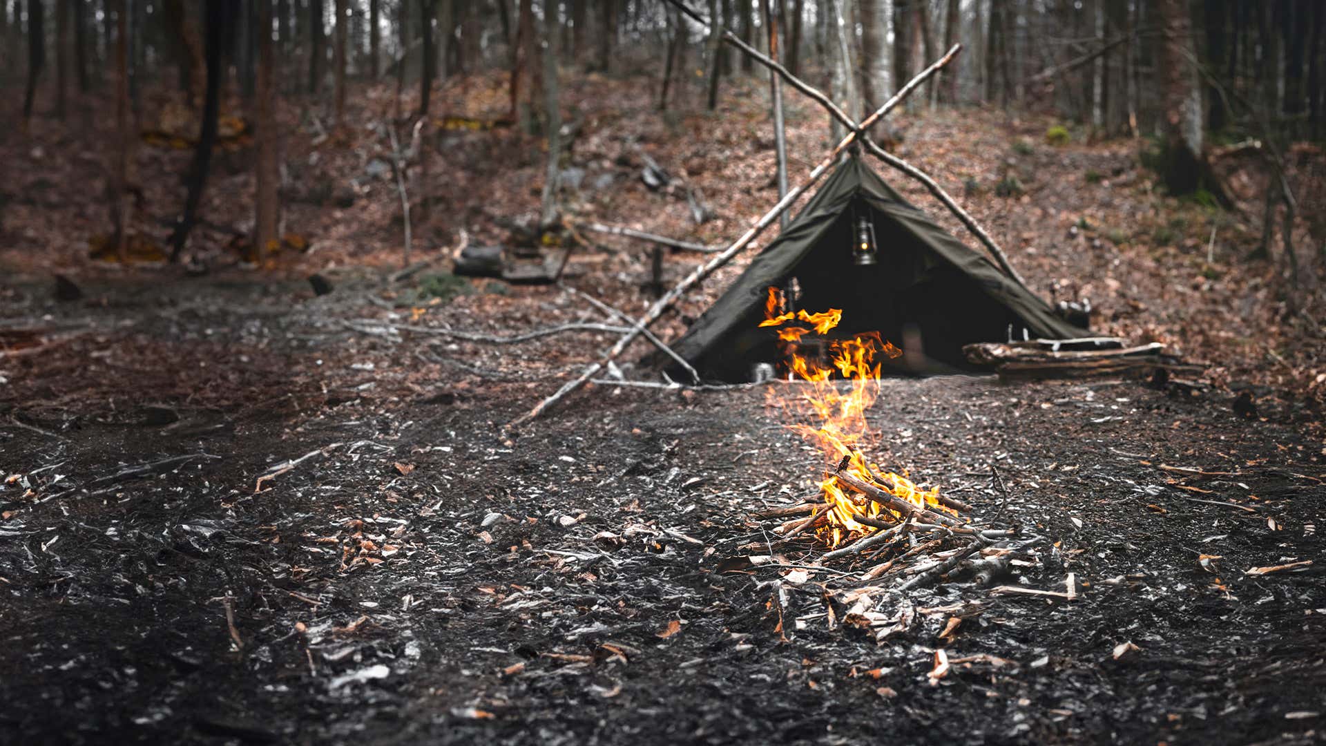 Curso de supervivencia en España