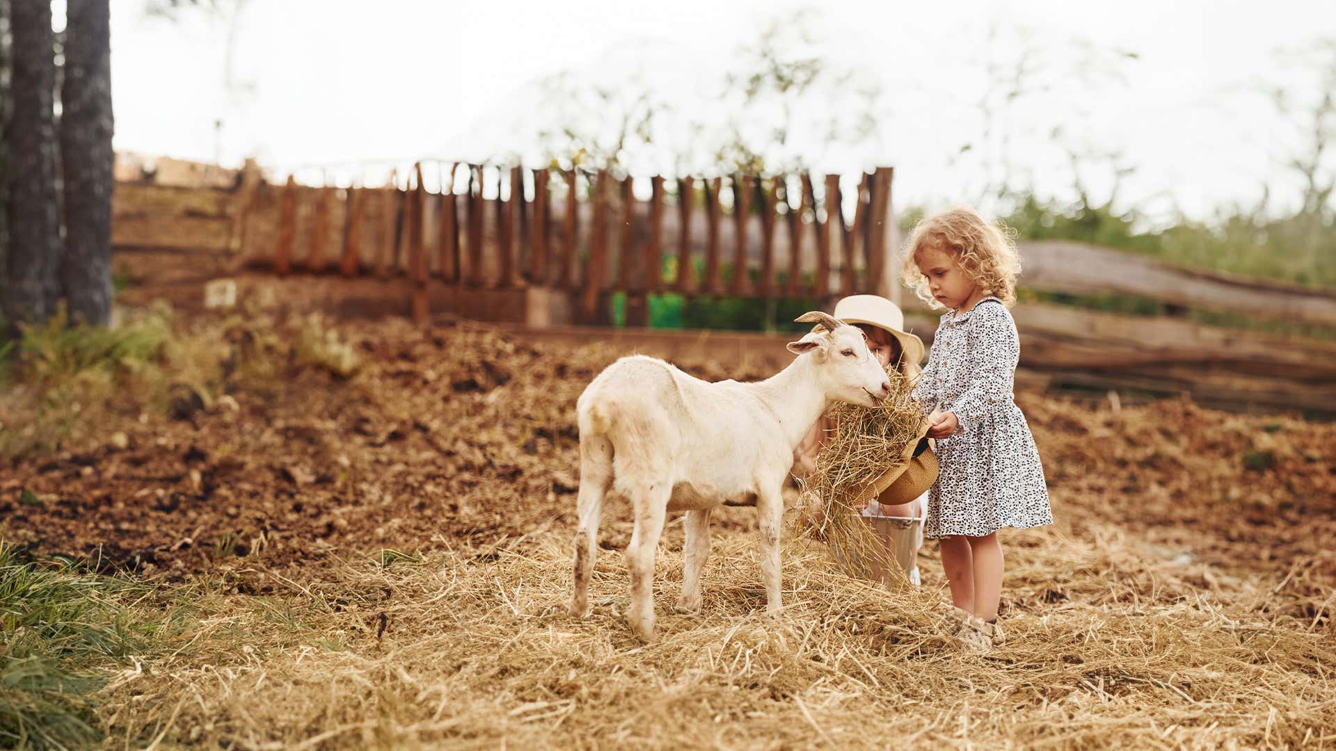 Granja escuela en España