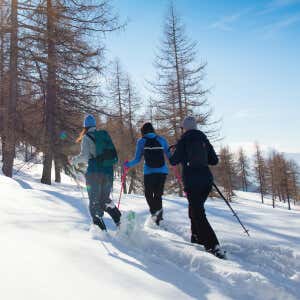 Esperienze di gruppo divertenti e dinamiche, ideali per condividere avventure con amici o colleghi